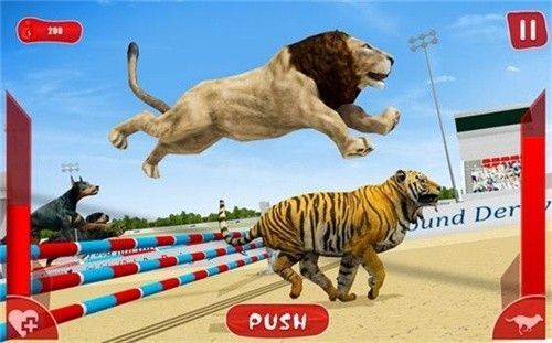 狮子赛跑3d(1)
